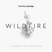'Wildfire' Live Worship From New Wine 2015