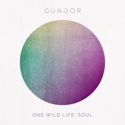 Gungor Announce 3 New Albums, 'One Wild Life: Soul' Available To Pre-Order