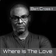 Bert Cross II Releases 'Where Is the Love'
