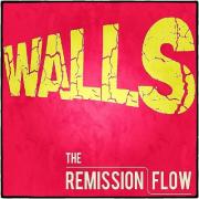Free Song Download 'Walls' From The Remission Flow