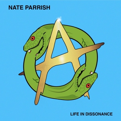 Nate Parrish - Life in Dissonance