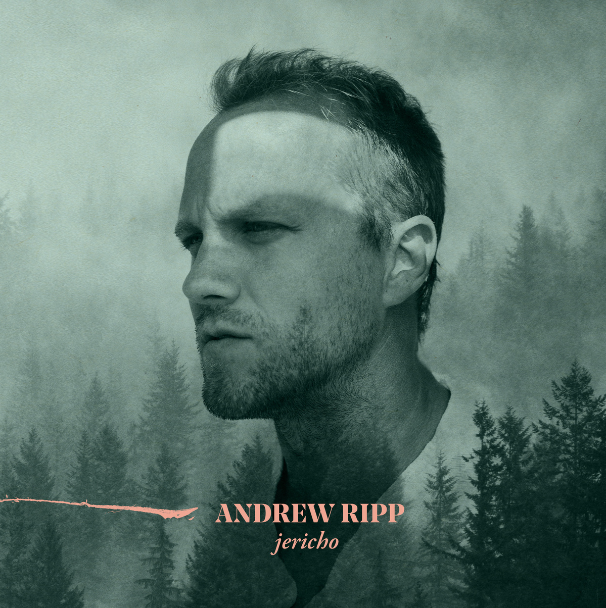 Andrew  Ripp - Jericho