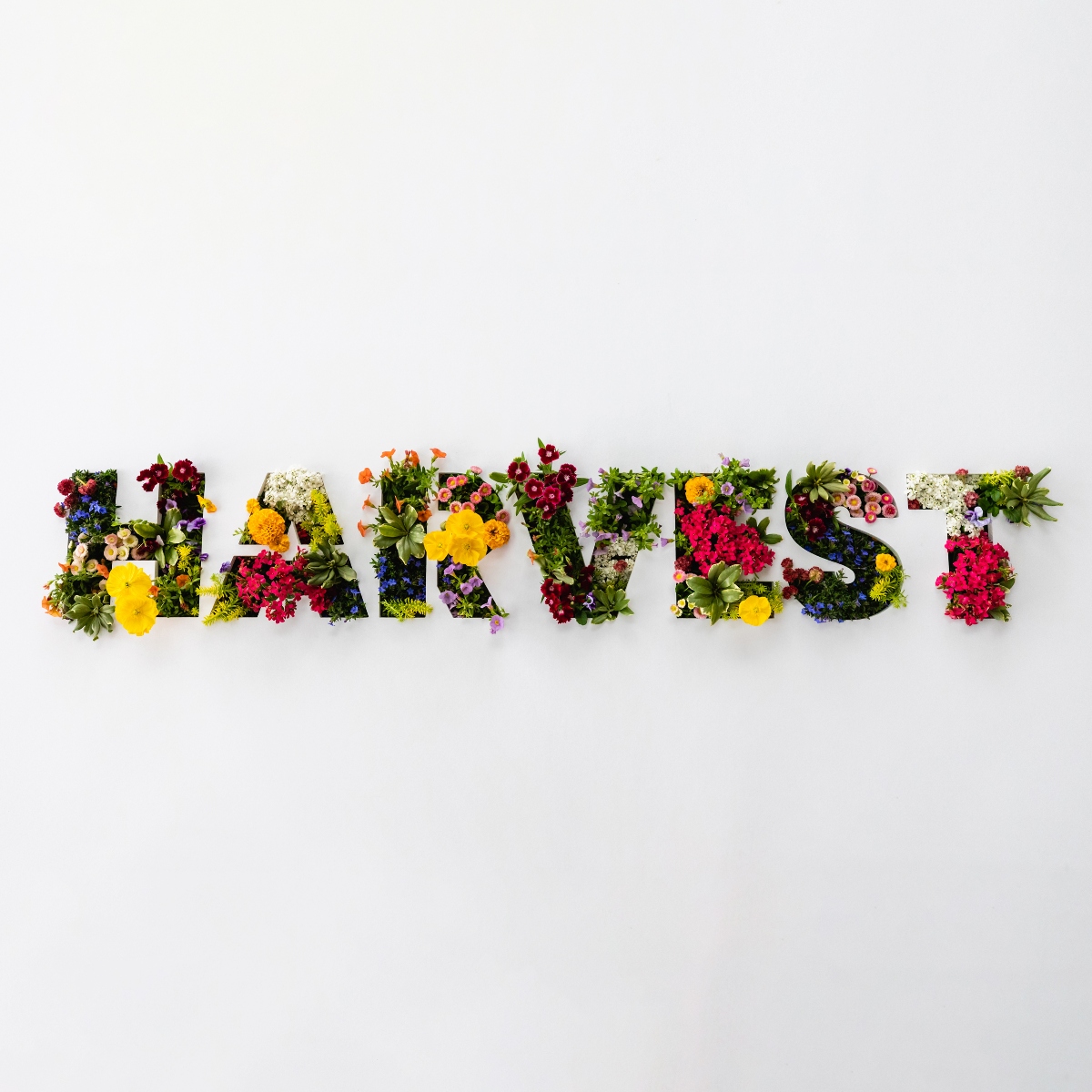 Rev Music - Harvest