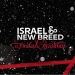A Timeless Christmas - Israel & New Breed