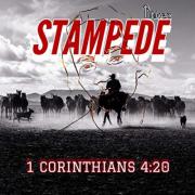 Stampede (1 Corinthians 4:20)