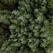 Glasgow's Hope Sounds Release 'Peace Is Here'