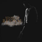 Esteban Ramos Releases 'Sound of Revival'