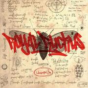 Royal Ruckus Return With 'Unexpected Joy' EP