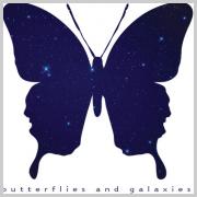 Treasure Field - Butterflies and Galaxies