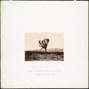 Live at Joshua Tree California