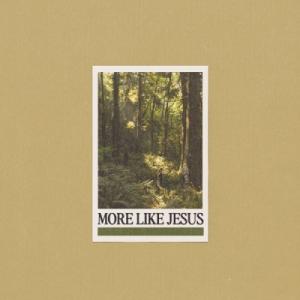 More Like Jesus