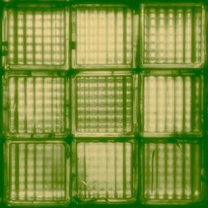 First Light / Last Word