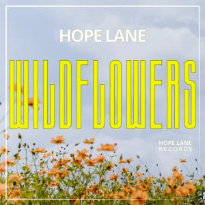 Wildflowers