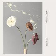 Sanctus Real Debuts New Album 'Changed' To High Acclaim