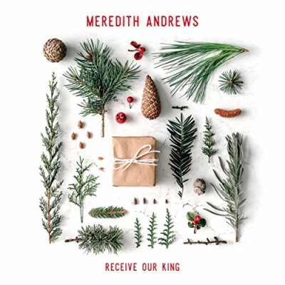 Meredith Andrews - Receive Our King