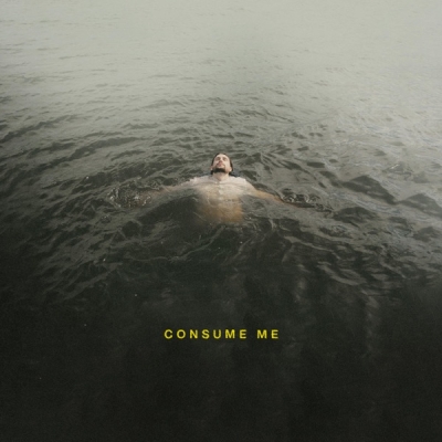 Austin Ludwig - Consume Me