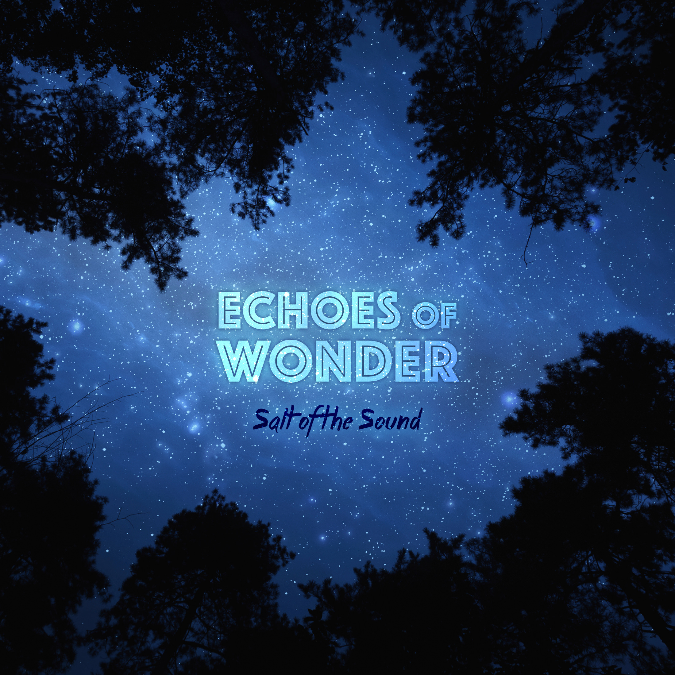 Salt Of The Sound - Echoes Of Wonder