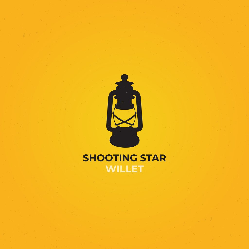 Willet - Shooting Star